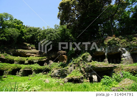 5月 逗子81新緑のまんだら堂やぐら群・五輪塔 5月 逗子81新緑のまんだら堂やぐら群・五輪塔 31404791