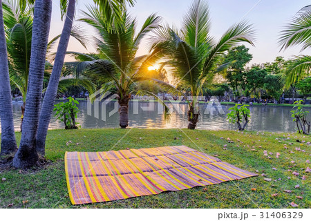 Sunset scene by the lake in Chatuchak park 31406329