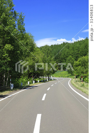 北海道 中富良野町 新緑の森と道 北海道 中富良野町 新緑の森と道 31406813