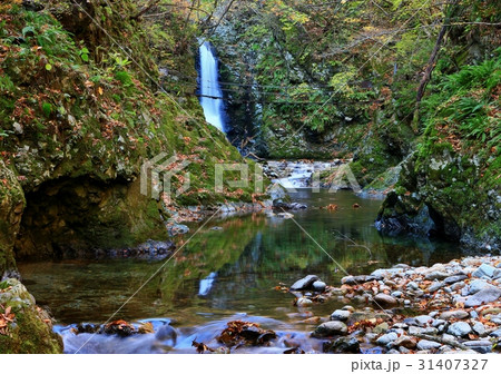 秋の奥新川 31407327