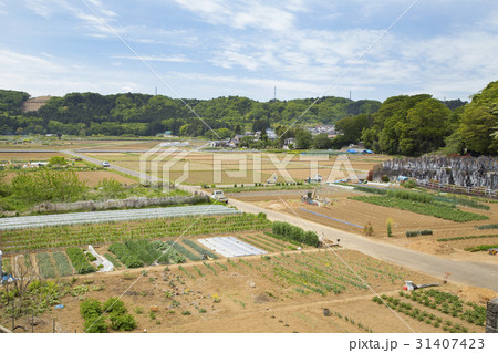 あきるの市秋川地区　畑のある風景 31407423