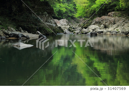 山口県　長門峡 31407569