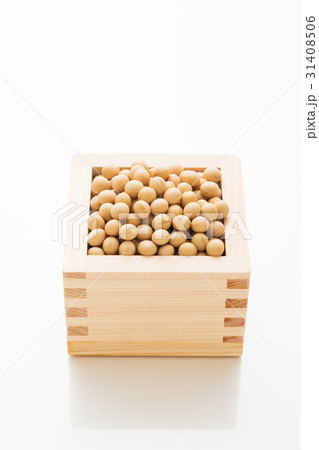 大豆 31408506