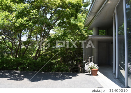 茅ヶ崎　美術館 31409010