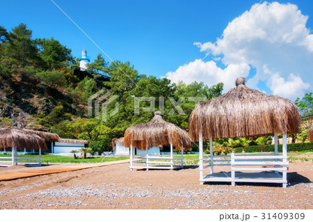 Summer arbor on beach 31409309
