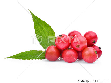 Muntingia calabura, Tropical fruit isolated Muntingia calabura, Tropical fruit isolated 31409656