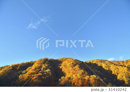 西沢渓谷 紅葉 西沢渓谷 紅葉 31410242