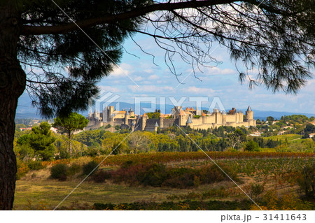 Carcassonne Castle, a fortress amidst the 31411643
