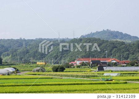 田舎の風景 31412109