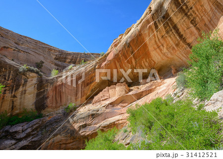 Monarch Cave Ruins, Butler Wash, UT 31412521