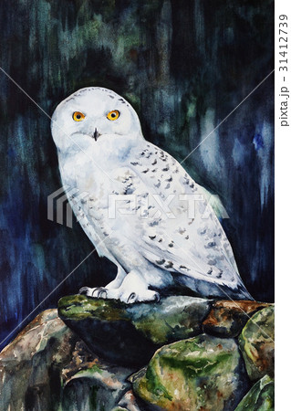 white snowy owl in the forest watercolorのイラスト素材