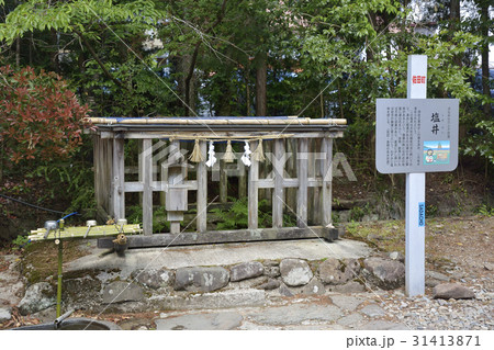 須佐神社 塩ノ井 須佐神社 塩ノ井 31413871
