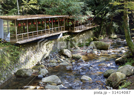 箕面川床　箕面川 31414087