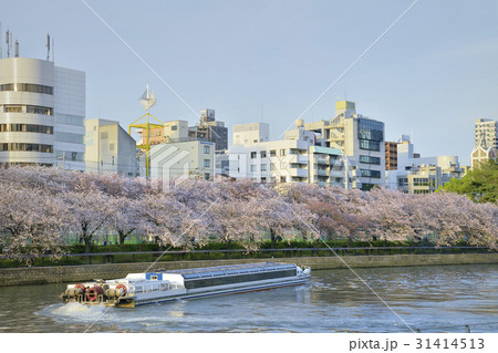 大川 水上バス 南天満公園 桜の写真素材