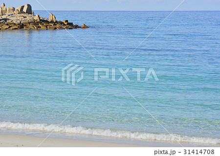 白浜海水浴場　南紀白浜 31414708