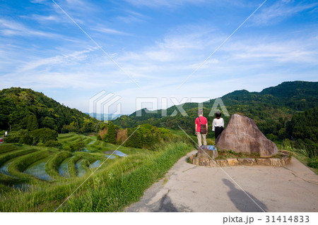 大山千枚田 31414833