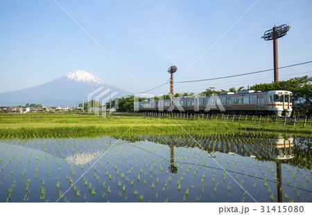 御殿場線  田んぼに映る逆さ富士と列車 31415080