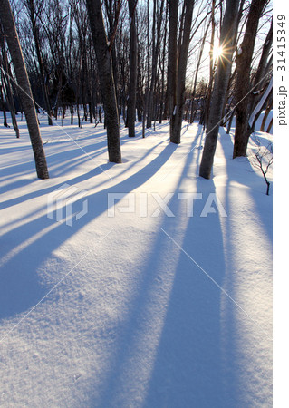 冬の朝の日差しの写真素材