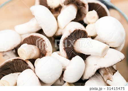 fresh champignon mushrooms fresh champignon mushrooms 31415475
