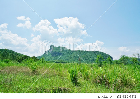 山の風景、マウンテンビュー 山の風景、マウンテンビュー 31415481