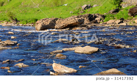 View of the river Tosna. View of the river Tosna. 31417392