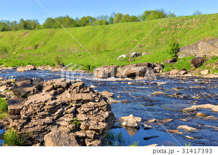 View of the river Tosna. View of the river Tosna. 31417393