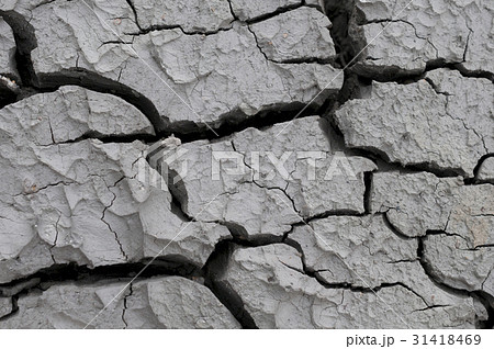 クチャ(沖縄の土) クチャ(沖縄の土) 31418469