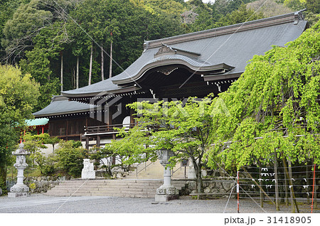 近江神宮　外拝殿 31418905