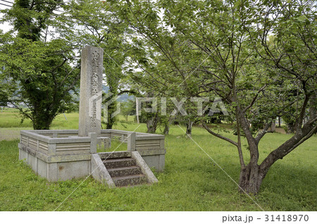 恭仁京跡 恭仁京跡 31418970