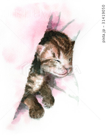 眠る子猫 31419050