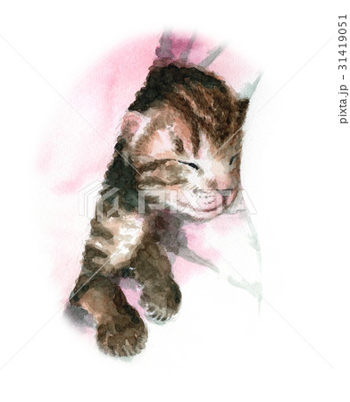 アナログ水彩眠る子猫 アナログ水彩眠る子猫 31419051