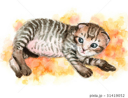 アナログ水彩キジトラの子猫 アナログ水彩キジトラの子猫 31419052