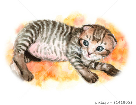アナログ水彩キジトラの子猫 31419053