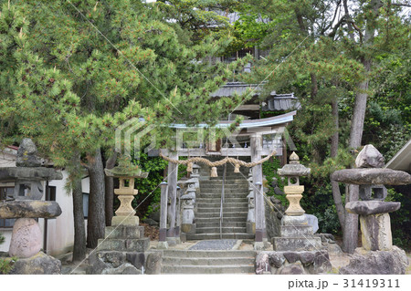 荒砂神社　浦富海岸　 31419311