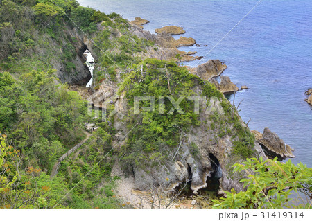 浦富海岸　山陰の松島　鴨ヶ磯 31419314