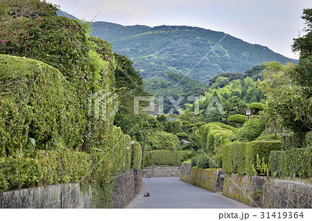 知覧武家屋敷 31419364