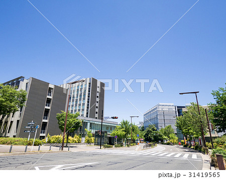 名古屋市千種区都市風景 山手グリーンロード 名古屋大学前 交差点 名古屋市千種区都市風景 山手グリーンロード 名古屋大学前 交差点 31419565