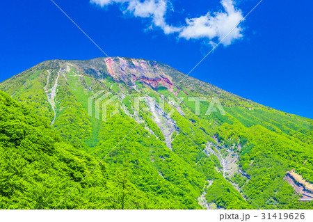 日光　明智平からの男体山 31419626