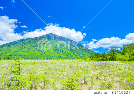 日光 春の戦場ヶ原 男体山 の写真素材