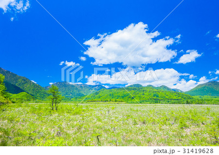 日光 春の戦場ヶ原(三岳、温泉ヶ岳) 日光 春の戦場ヶ原(三岳、温泉ヶ岳) 31419628