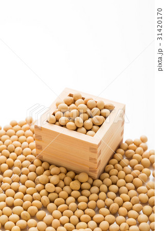 大豆 31420170