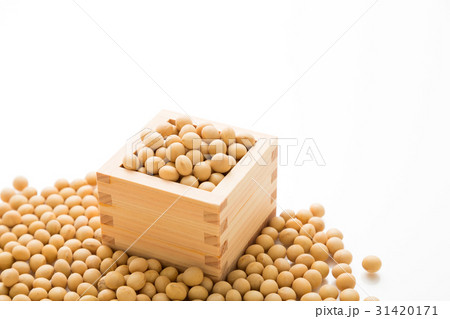 大豆 31420171