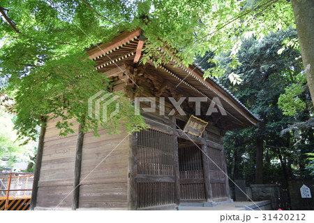 御瀧不動尊 31420212