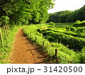 田舎のあぜ道 31420500