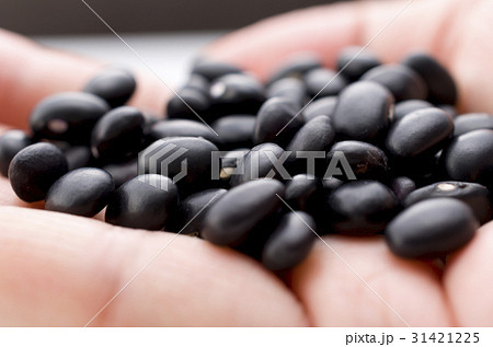 沖縄 宮古島の黒小豆（ササゲ） 31421225