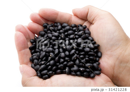 沖縄 宮古島の黒小豆（ササゲ） 31421228
