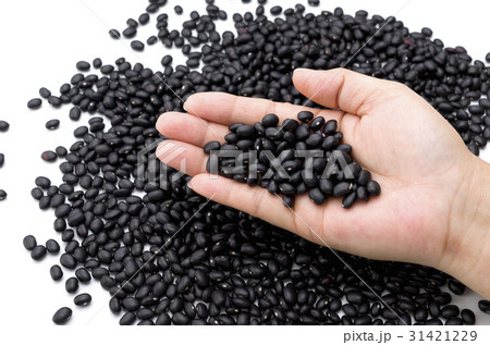 沖縄 宮古島の黒小豆（ササゲ） 31421229