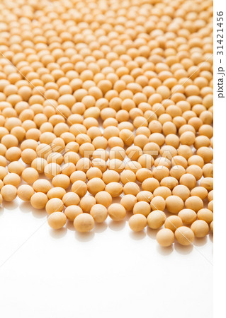 大豆 大豆 31421456