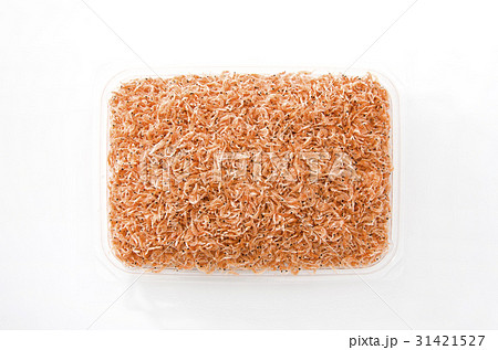 オキアミ 31421527