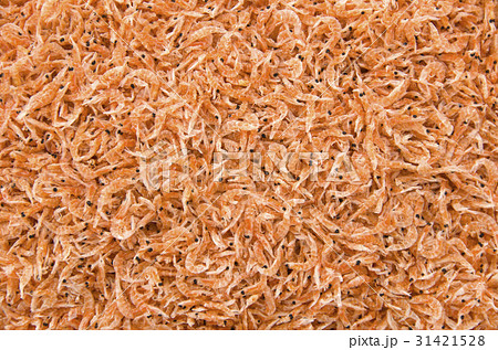 オキアミ オキアミ 31421528